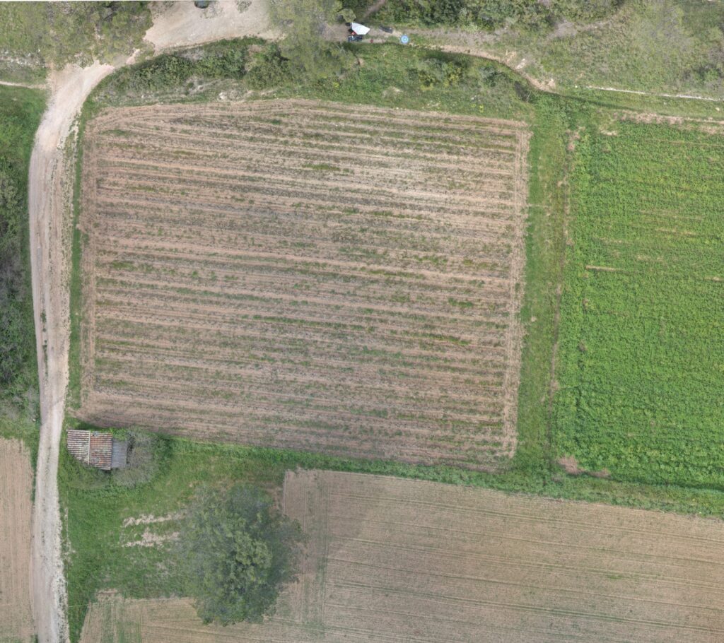 drone-orthophoto-geolocalisee